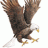 I3lood Eagle