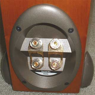 paradigm-s8-speakers-terminals.jpg